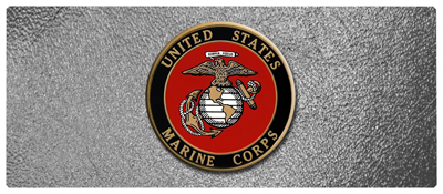 DNSEMP L 415 SH SL US Marine Shimmer Silver